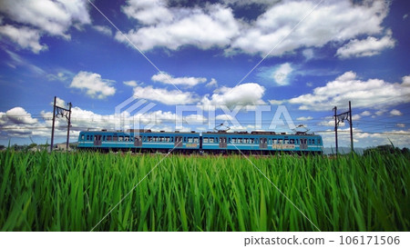 碩果累累的夏天 碩果累累的夏天 106171506