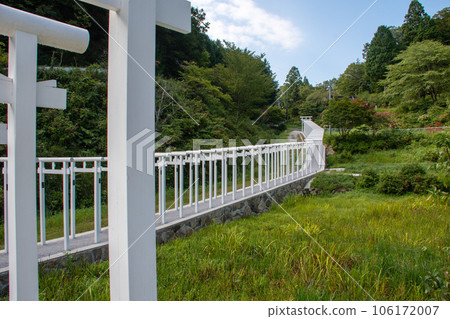 Niimi City, Okayama Prefecture Women's Koya, Saidoji Hakuryu White Thousand Torii Gates 106172007