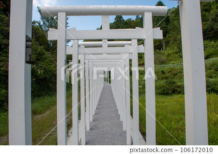 Niimi City, Okayama Prefecture Women's Koya, Saidoji Hakuryu White Thousand Torii Gates Niimi City, Okayama Prefecture Women's Koya, Saidoji Hakuryu White Thousand Torii Gates 106172010