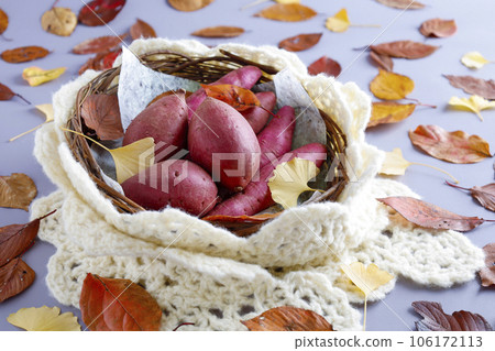 Various kinds of sweet potatoes in a round basket Warm image Deciduous background Various kinds of sweet potatoes in a round basket Warm image Deciduous background 106172113
