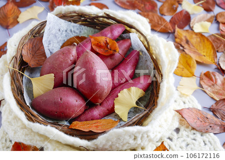 Various kinds of sweet potatoes in a round basket Warm image Deciduous background Various kinds of sweet potatoes in a round basket Warm image Deciduous background 106172116