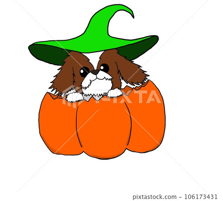 南瓜和西施綠 106173431