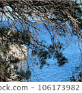 Tree and sea view 106173982