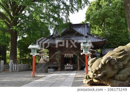 東京七夕田無神社 106175249