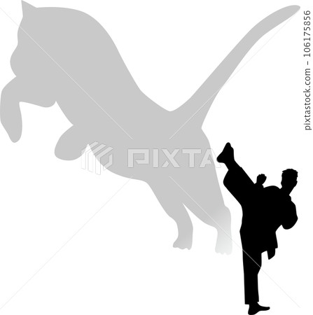 karate tiger kick 106175856