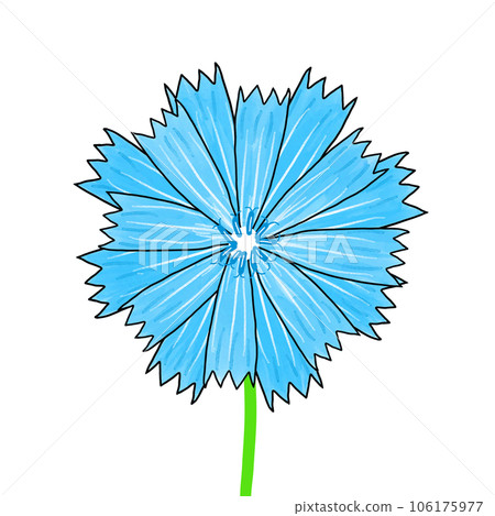 blue cornflower isolated on white background 106175977