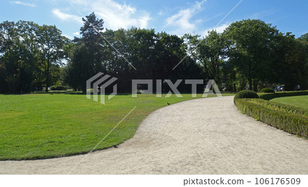 Alley with path in the garden or park Alley with path in the garden or park 106176509