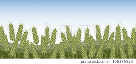 Spikelets of rye, rye, wheat field against the sky. Agriculture. Seamless horizontal border. Vector 106176580