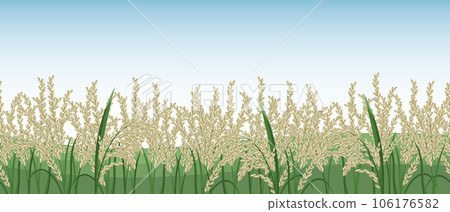 Spikelets of rice, rice field against the sky. Seamless horizontal border. Vector Spikelets of rice, rice field against the sky. Seamless horizontal border. Vector 106176582