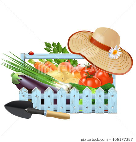 Vector Gardening Crate with Vegetables Vector Gardening Crate with Vegetables 106177397