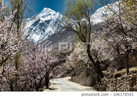 Passu is a small village. Located in the Hunza upper Gojal Valley of Gilgit Baltistan in northern Pakistan. 106178581