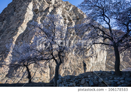 Passu is a small village. Located in the Hunza upper Gojal Valley of Gilgit Baltistan in northern Pakistan. 106178583