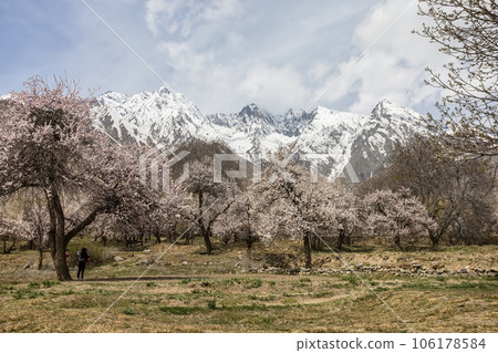 Passu is a small village. Located in the Hunza upper Gojal Valley of Gilgit Baltistan in northern Pakistan. 106178584