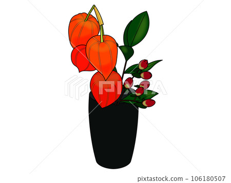 Hozuki planted in a pot (with main lines) 106180507