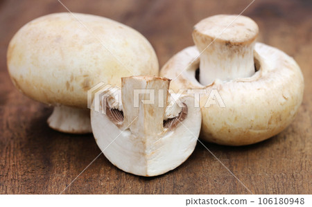 Button Mushroom Button Mushroom 106180948