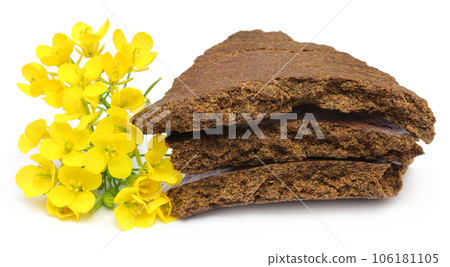 Mustard flowers and cake over white background 106181105