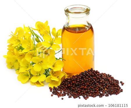 Mustard flowers and oil 106181115
