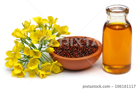 Mustard flowers, seeds and oil Mustard flowers, seeds and oil 106181117