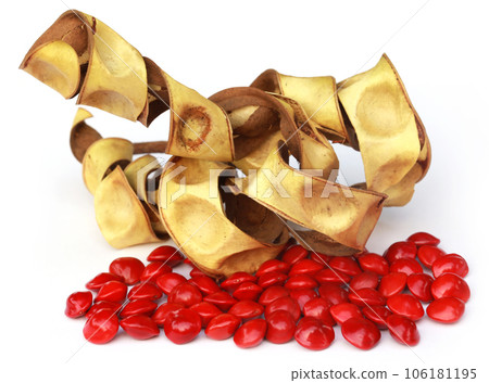 Sandalwood Seeds with dried bean Sandalwood Seeds with dried bean 106181195