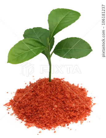 Plant in Muriate of potash fertilizer Plant in Muriate of potash fertilizer 106181237