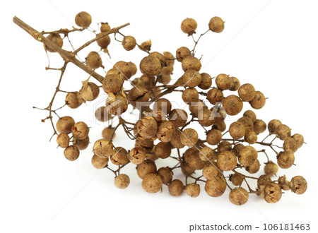 Henna seeds Henna seeds 106181463