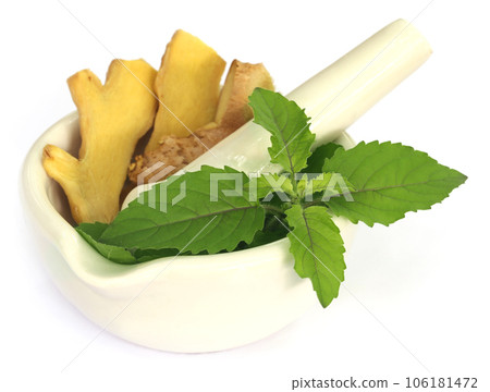 Medicinal herbs on mortar with pestle Medicinal herbs on mortar with pestle 106181472