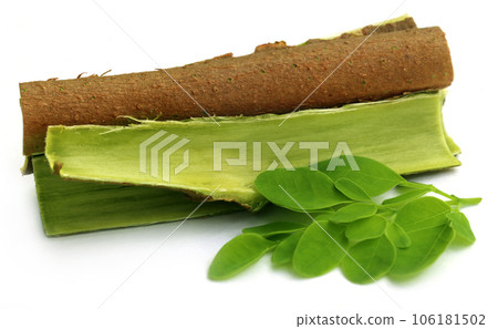 Moringa leaves and bark 106181502