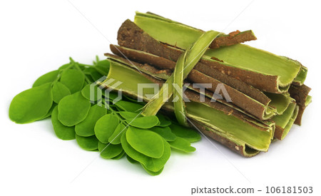 Moringa leaves and bark 106181503