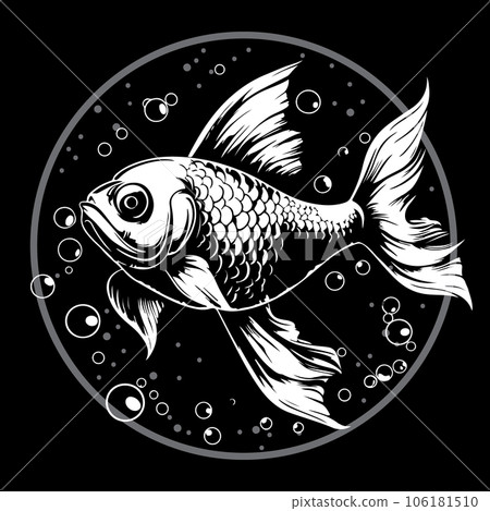 Fish in the water. Fish in the water. 106181510