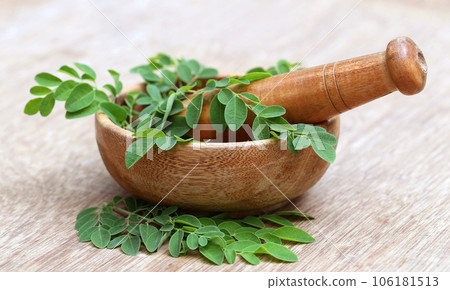 Moringa leaves and mortar pestle 106181513