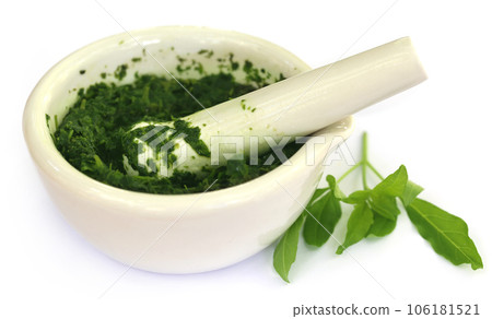 Vitex Negundo wtih mortar and pestle 106181521