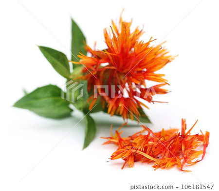 Safflower 106181547