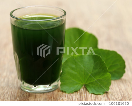 Thankuni leaves with extract 106181650