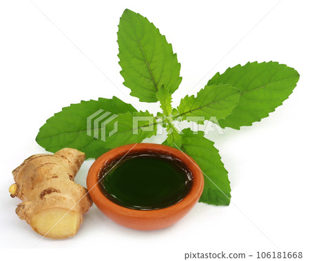Ayurvedic combination of holy basil and ginger 106181668