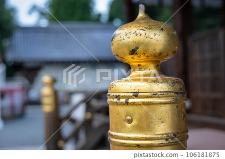 Early autumn at Matsunoo Taisha, the faint taste of Nyoihoju in the hall of worship Early autumn at Matsunoo Taisha, the faint taste of Nyoihoju in the hall of worship 106181875