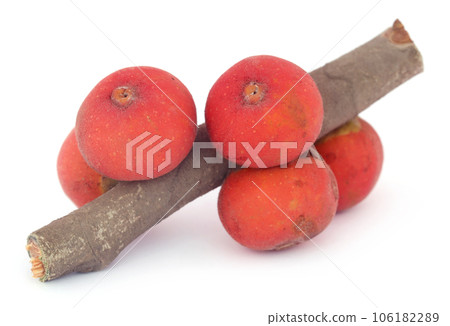 Banyan Fruits white background 106182289