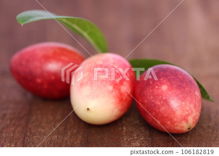 Koromcha or Carandas of Southeast Asia 106182819