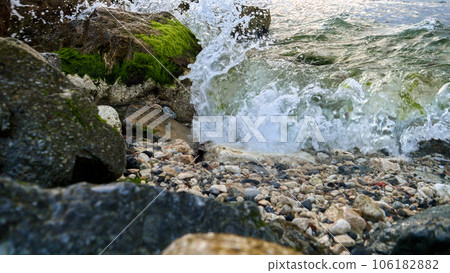 Sea waves rolling on beach and breaking over rocks and cliffs with growing seaweeds and algae. Beautiful landscape, natural background, marine backdrop. Sea waves rolling on beach and breaking over rocks and cliffs with growing seaweeds and algae. Beautiful landscape, natural background, marine backdrop. 106182882