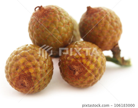 Tropical Calamus palm fruits 106183000