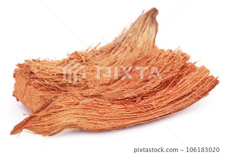 Coir of coconuts Coir of coconuts 106183020