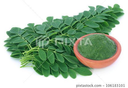 Moringa leaves 106183101