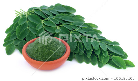 Moringa leaves 106183103