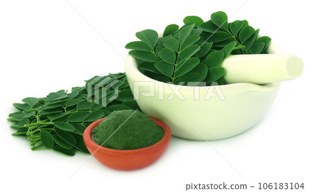 Moringa leaves Moringa leaves 106183104