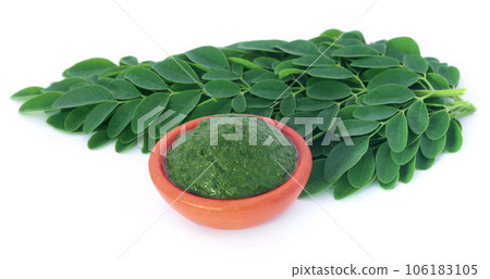 Edible moringa leaves with ground paste Edible moringa leaves with ground paste 106183105