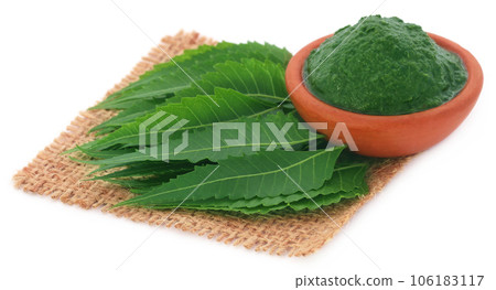 Medicinal neem leaves with ground paste 106183117