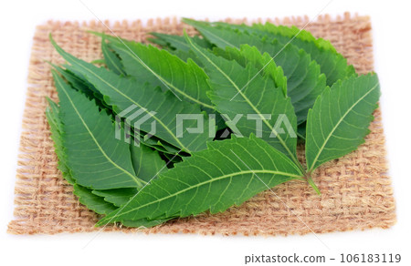 Medicinal neem leaves on a sack 106183119