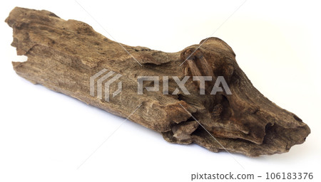 Bogwood over white background 106183376