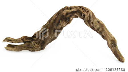 Bogwood over white background Bogwood over white background 106183380