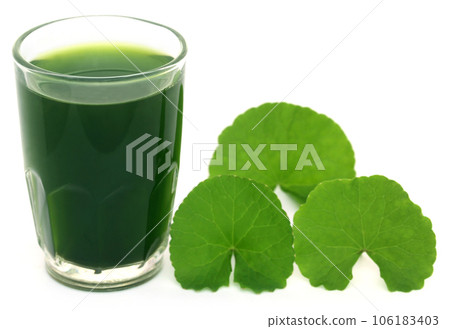 Medicinal thankuni leaves with extract Medicinal thankuni leaves with extract 106183403