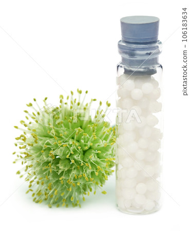 Homeopathy globules Homeopathy globules 106183634